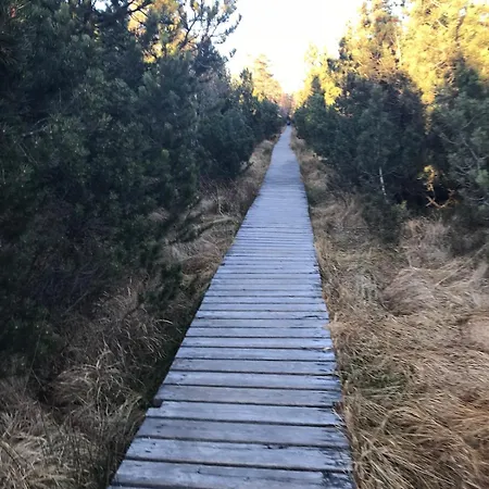 Apartment Bezauberndes Gaestehaus Im Gruenen Mit Terrasse *