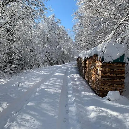 Apartment Bezauberndes Gaestehaus Im Gruenen Mit Terrasse