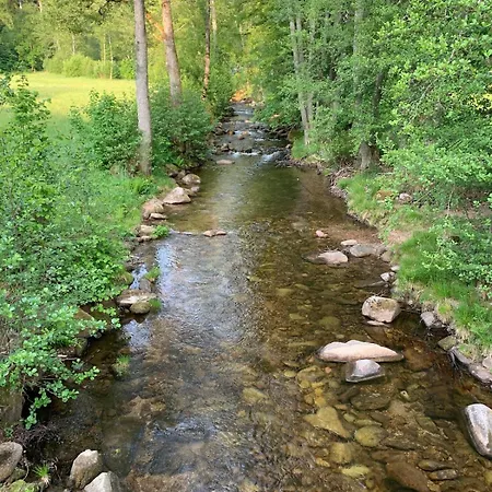 Bezauberndes Gaestehaus Im Gruenen Mit Terrasse Apartment *